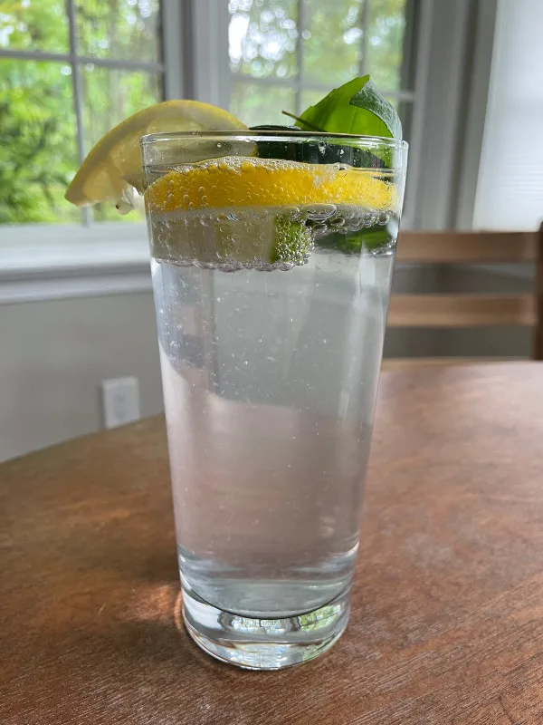 Citrus Herb Flavored Water